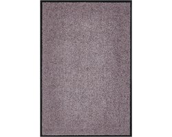 andiamo Premium Doormat Wash & Clean - Durable Dirt Trapping Mat Home Entrance - as a Door Mat Inside or as a Door Mat in Covered Outdoor Areas - Absorbent Doormat 40 x 60 cm Taupe