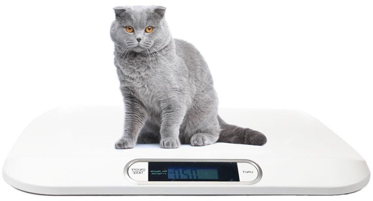 Digitale Huisdier Weegschaal - Vachtdier Weegschaal - Gezondheid Monitoren - Nauwkeurig tot 0.1 kg - Max 20 kg