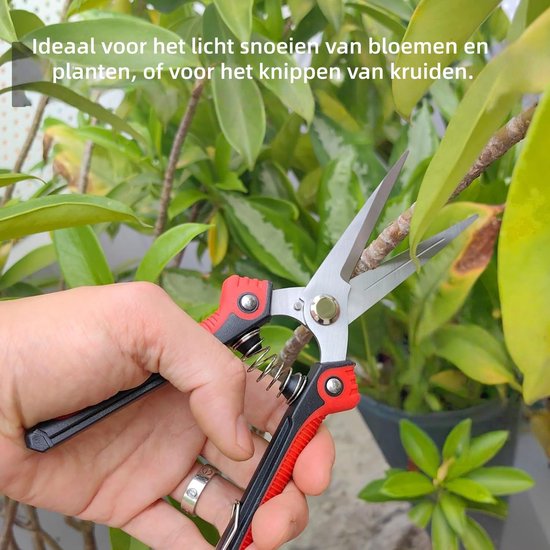 1 stuk - Snoeischaren - RVS Fruitschaar - Snoeischaar - Puntige Snoeischaar voor het Kweken van Fruit, Groente en Bloemen - Scherpe Tuinschaar met Antislip Handgreep — afbeelding 3