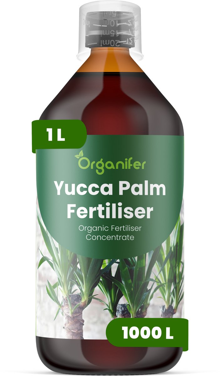 Vloeibare Meststof Voor Yucca Palmen - 1 L Voor 1000 L - Npk 2-1-8 - Geschikt Voor Yucca-Palmen In Pot En In De Tuin - Versterkt De Wortels - Helpt De Compacte - Architecturale Plantvorm Te Behouden - Ontwikkeld Voor Regelmatig - Organifer