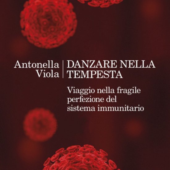 Danzare nella tempesta - cover