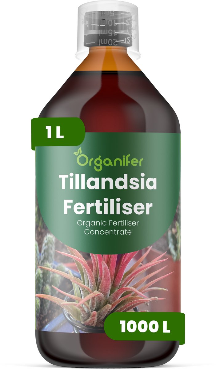 Vloeibare Meststof Voor Tillandsia 1 L Voor 1000 L - Npk 2-1-8 - Versterkt De Bladstructuur En Stevigheid - Bevordert Compacte - Evenwichtige Groei - Geschikt Voor Grondloze En Opgehangen Planten - Ondersteunt Langdurige Vitaliteit - Organifer