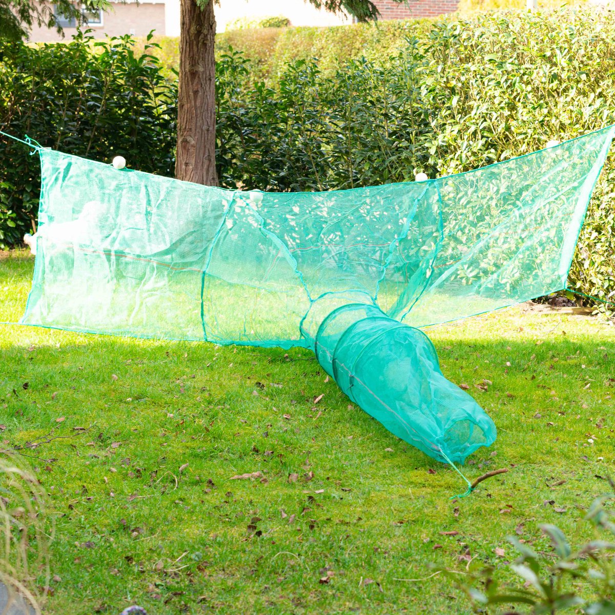 Dalure® Mega Vis Fuik - Visnetten - Forelvissen - Karpervissen - Witvissen - Roofvissen - Zeevissen - Leefnetten - Vissen - Kamperen & Outdoor - Visspullen - Fuik - Dieren - Hengelsport - Meerval - kreeftenfuik - kreeften - rivierkreeft - visval