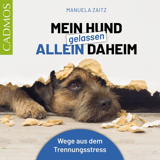 Mein Hund gelassen allein daheim - cover