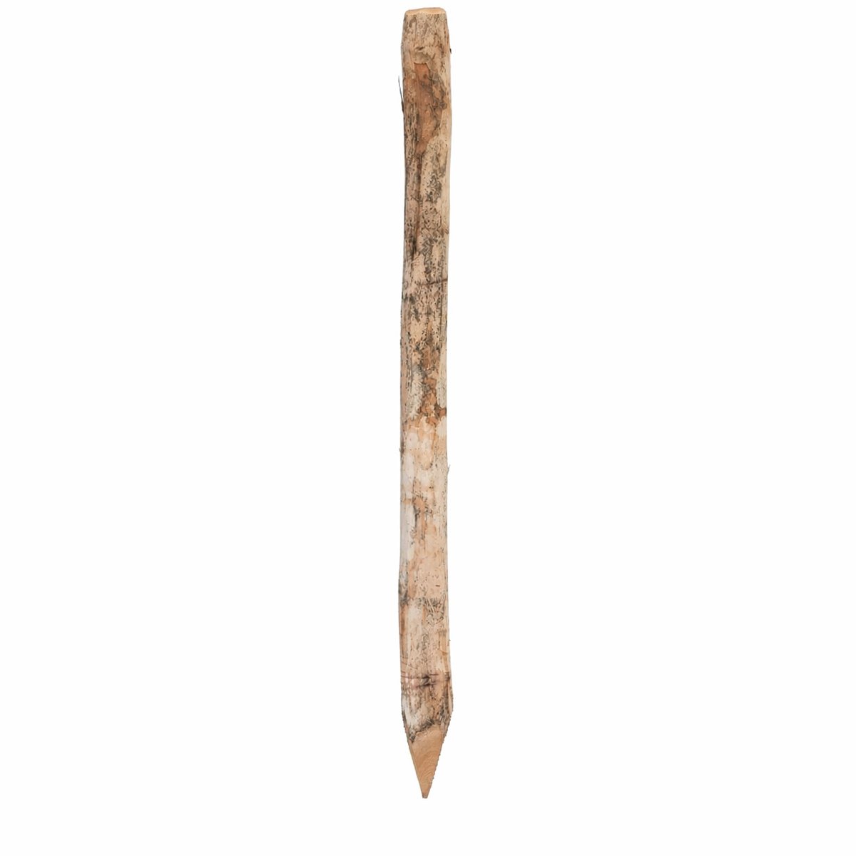 Bol.com Robinia Ronde Palen 120cm 6-8cm. aanbieding