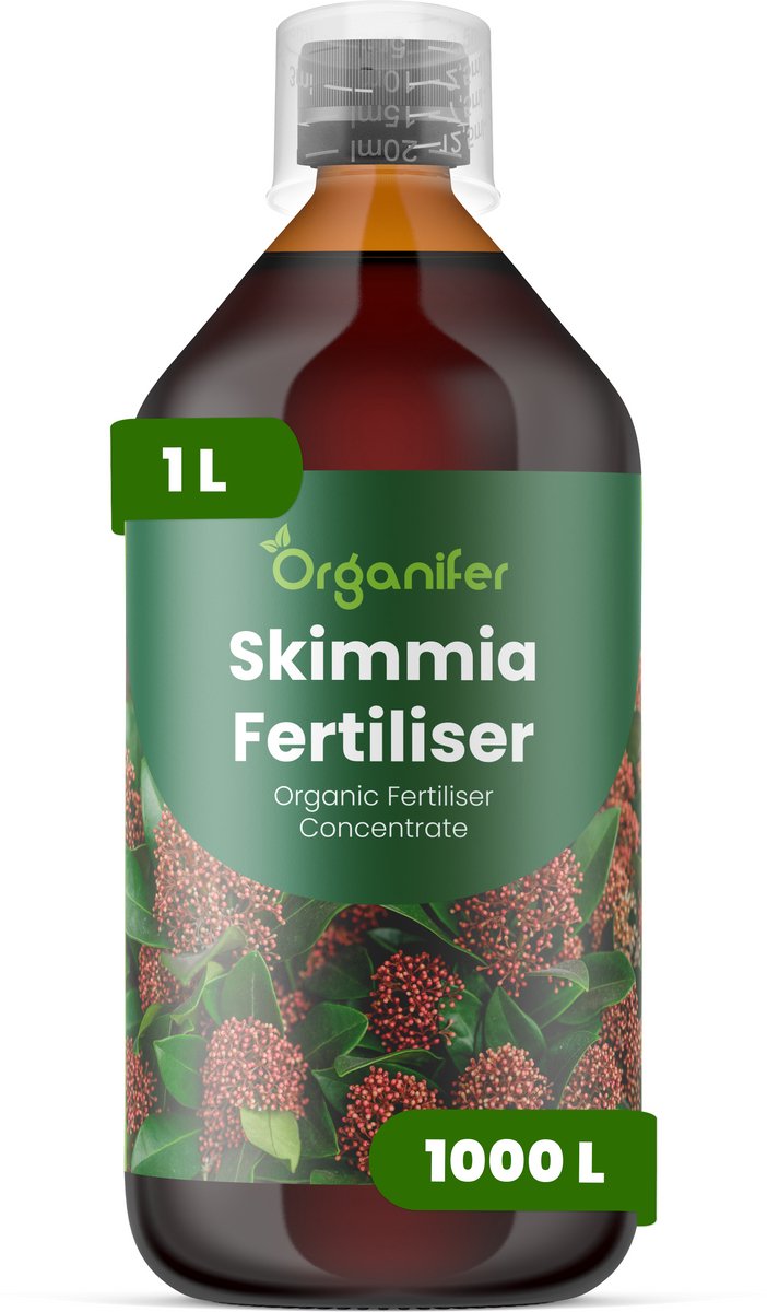 Vloeibare Meststof Voor Skimmia 1 L Voor 1000 L - Npk 3-4-3 - Ondersteunt Een Evenwichtige Groei - Bevordert Glanzend, Wintergroen Blad En Een Plantstructuur - Stimuleert Een Betrouwbare Bloei En De Ontwikkeling Van Decoratieve Bessen - Organifer