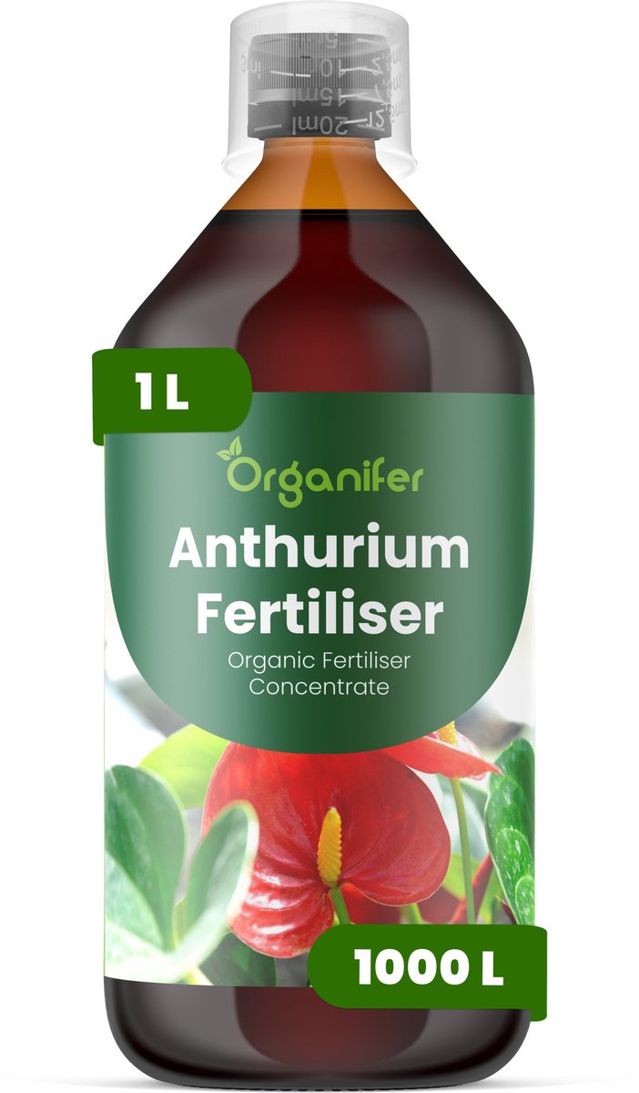 Vloeibare Meststof Voor Anthurium 1 L Voor 1000 L - Npk 3-4-3 - Overvloedige Bloei - Levendige Schutbladen - Kleurintensiteit - Sterke Wortelontwikkeling - Rechtopstaande Stele - Lage Luchtvochtigheid - Diepgroen Glanzend Blad - Organifer