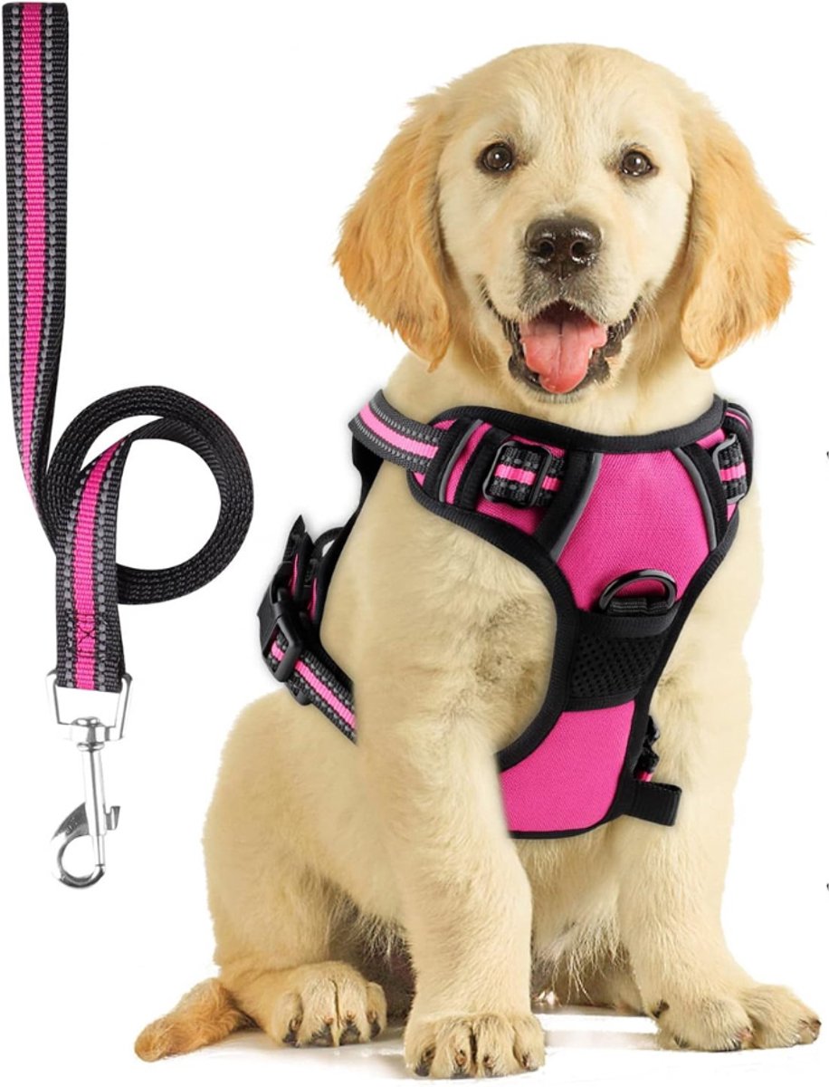 Hondentuig - Hondenharnas - Hondentuigje kleine hond - harnas hond anti trek - roze - Verstelbaar tuig voor huisdieren - van Imperatoris