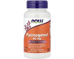 NOW Foods NOW Foods Pycnogenol 60 mg – 50 Vegetarische Capsules Met Acerola & Rutine
