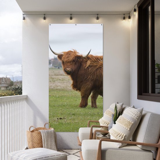 Affiche de clôture Scottish Highlander - Vache - Herbe - 100x200 cm - Toile de jardin