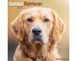 Golden Retriever Kalender 2027