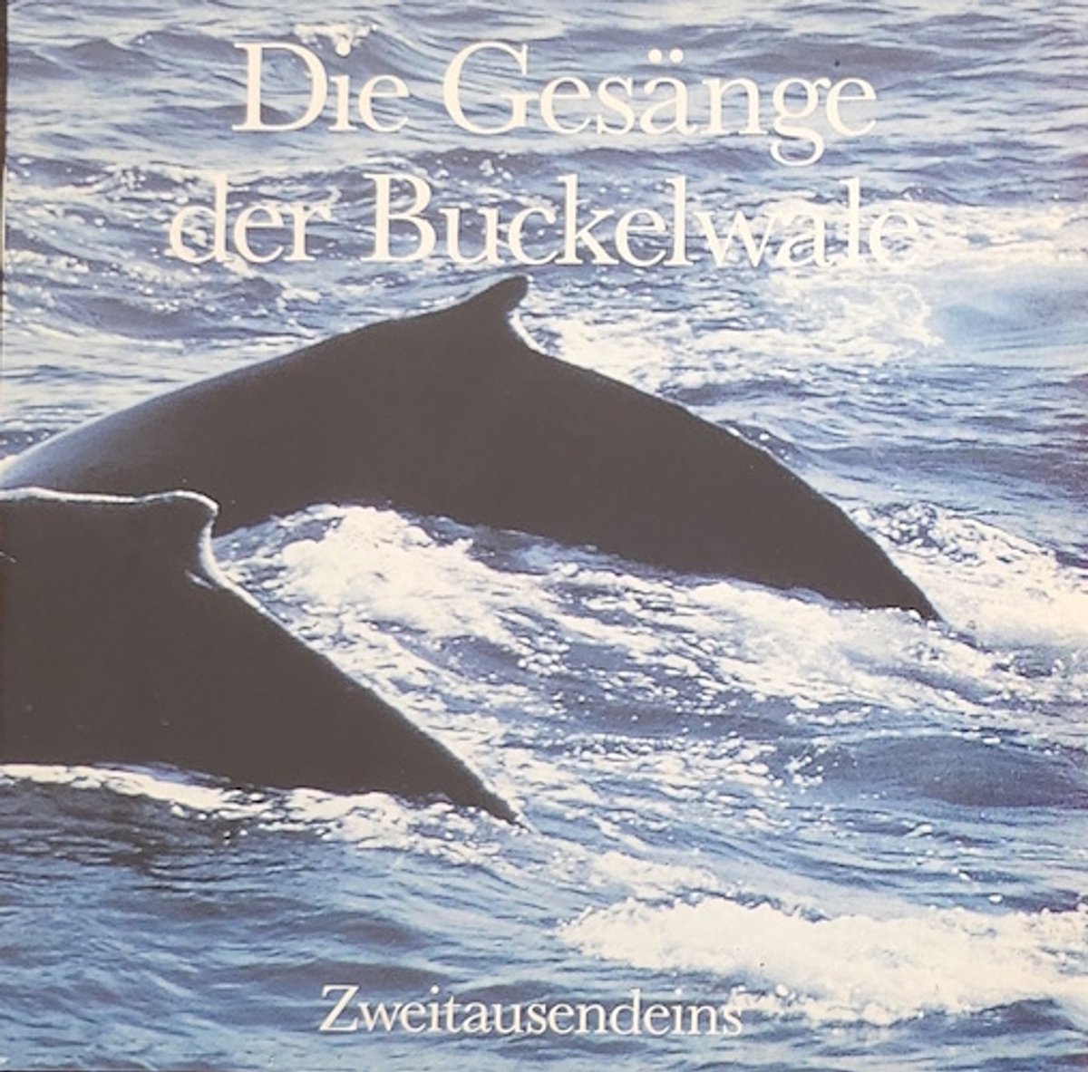 Die Gesange der Buckelwale