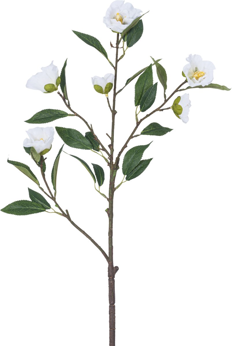 Easyplants Kunstbloem Camellia 80 cm wit | Zijde | Nepbloemen | wit | Onderhoudsvrij | Kant-en-klaar