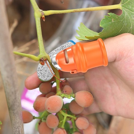 Oneay 12-delige siliconen duimmes snoeiset, siliconen duimmes oogstgereedschap, vingermes voor het snoeien van planten, fruit en groenten, tuingereedschap met vingerbescherming van Merkloos	 — afbeelding 5