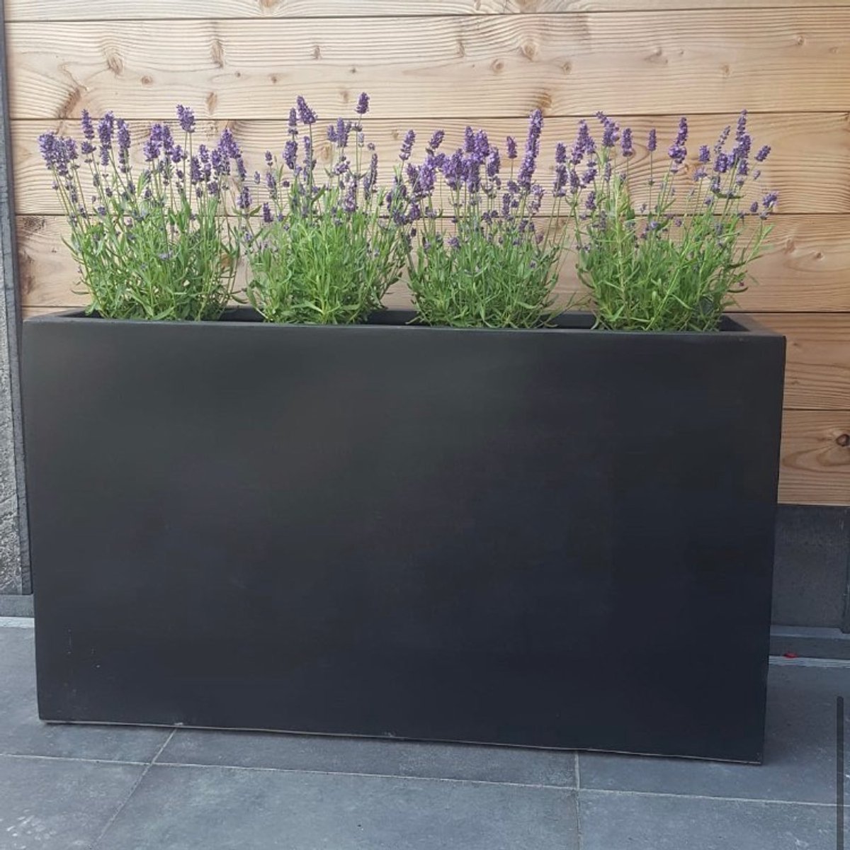fiberstone bloembak rechthoek 100 zwart
