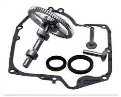 Geschikt voor Briggs & Stratton nokkenassen 793880, 793583, 792681, 791942, 795102; nokkenasvervangingsset met oliekeerring 795387; en Ruikalucky carterpakking 697110 LKBD.