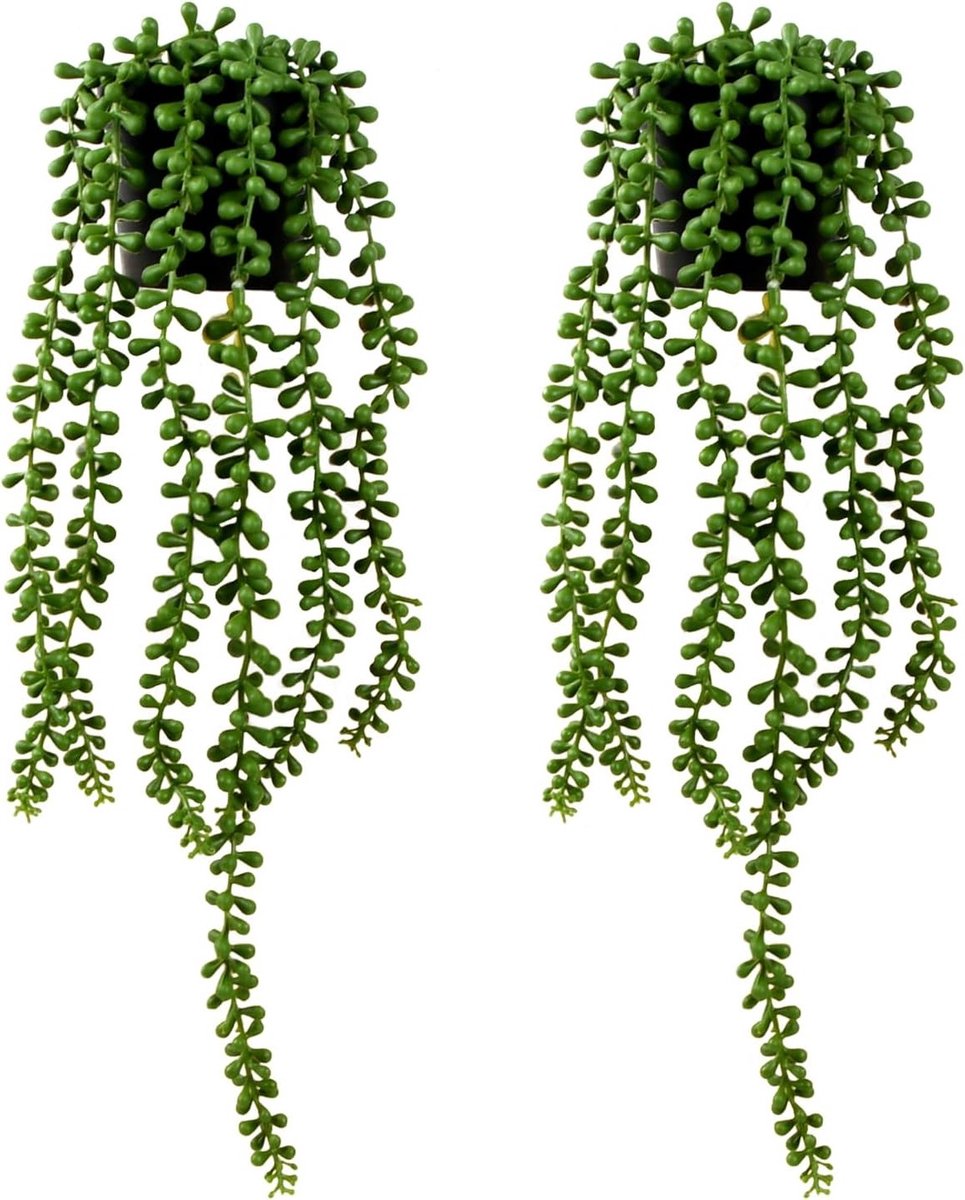 Kunstplanten Set van 2 - Hangende Neppflanten voor Binnen en Buiten - Perfect voor Planten