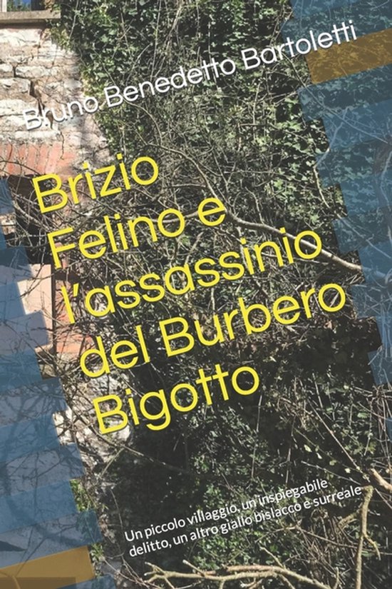 Romanzi, Racconti E Storie Brevi- Brizio Felino e l'assassin ... - cover