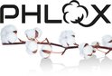 Logo PHLOX avec des fleurs de coton sur une branche.