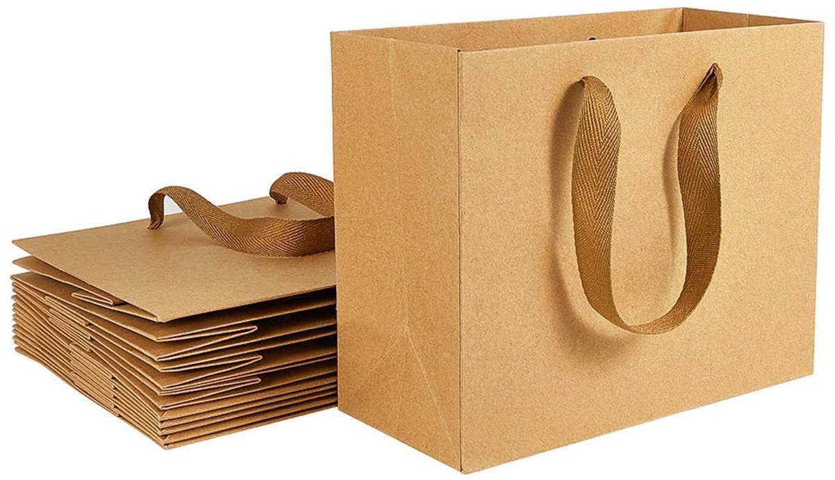 Dailygoods- Kraftpapieren Zakken 10 Stuks - Bruine Draagtassen - Geschenkzakken - Milieuvriendelijk - Sterke Handgrepen - 22 x 18 x 10 cm