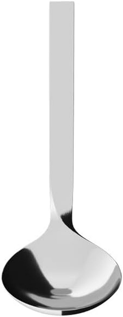 Sauslepel - Lepel - Vloeistoffen Serveren - Ergonomische Handgreep - 169 mm - Zilverkleurig