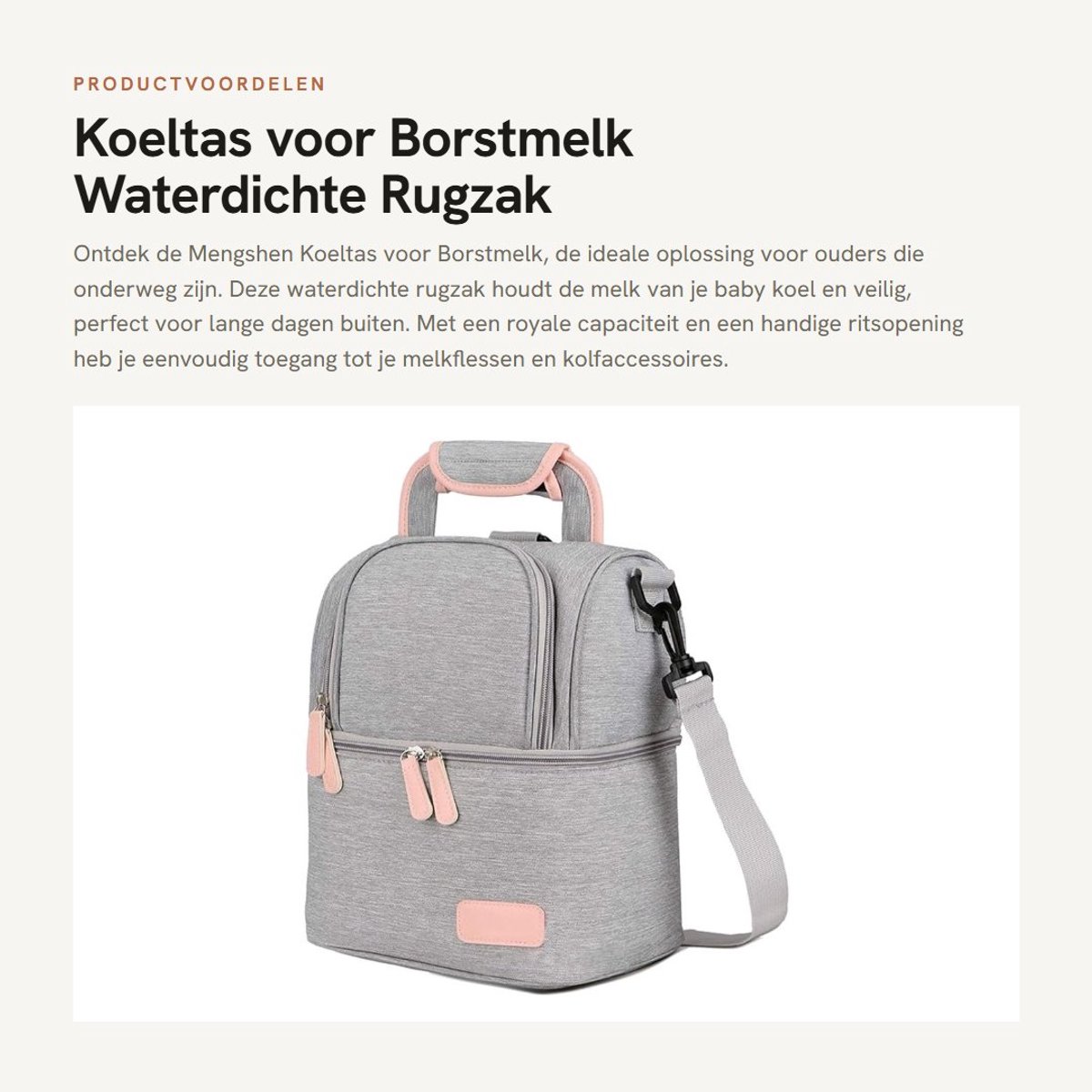 Dailygoods- Koeltas Waterdicht - Draagbare Thermo-geïsoleerde Rugzak - Grote Capaciteit - Borstmelk Organizer - Premium Isolatie - Afmetingen 22x15x27 cm - Borstmelkkoeler