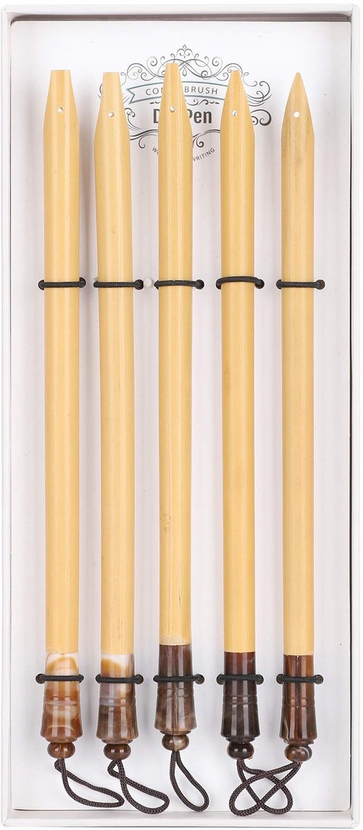 Dailygoods- Kalligrafiepen Set van 5 - Bamboe Kalligrafiepennen - Handgemaakt - Geschenkdoos - Ideaal voor Tekenen - Duurzaam Materiaal - Dip Pen