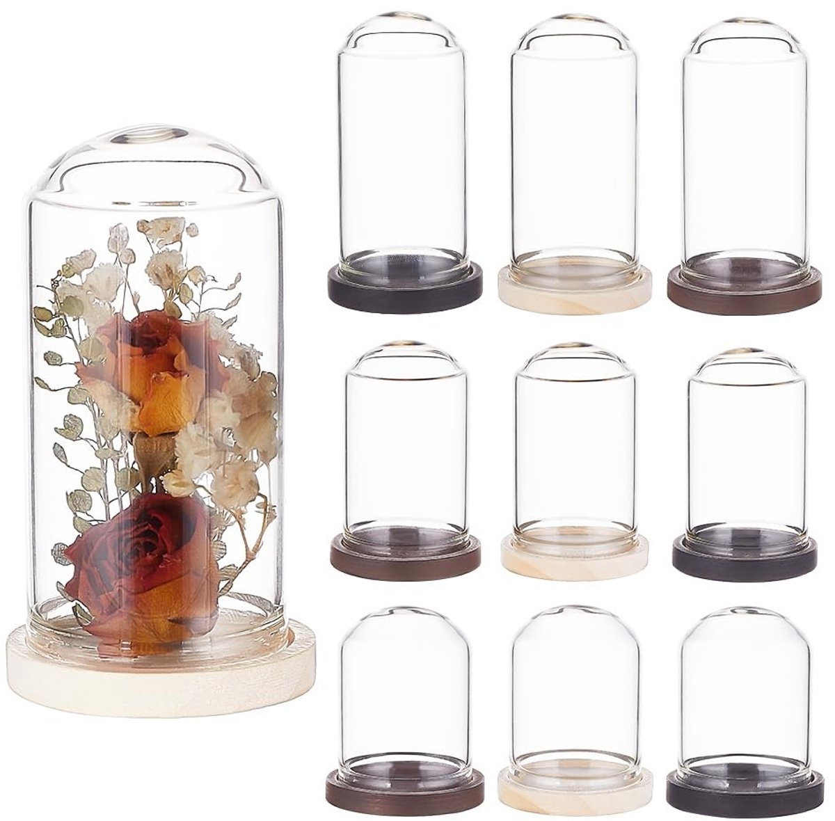 Dailygoods- Glazen Hanger 15 Stuks - Glazen Cloche Dome - Houten Basis - 3 Maten - Hoogwaardig Glas - Geschikt voor Eettafel