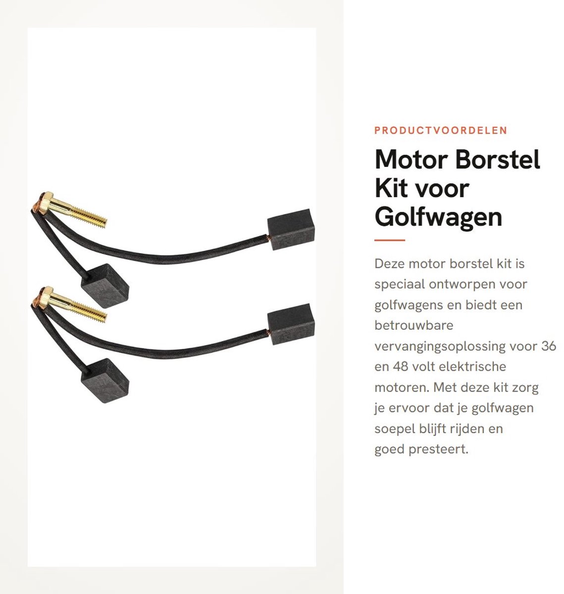 Dailygoods - Motor Borstel Kit voor Golfwagen, Geschikt voor 36/48 Volt