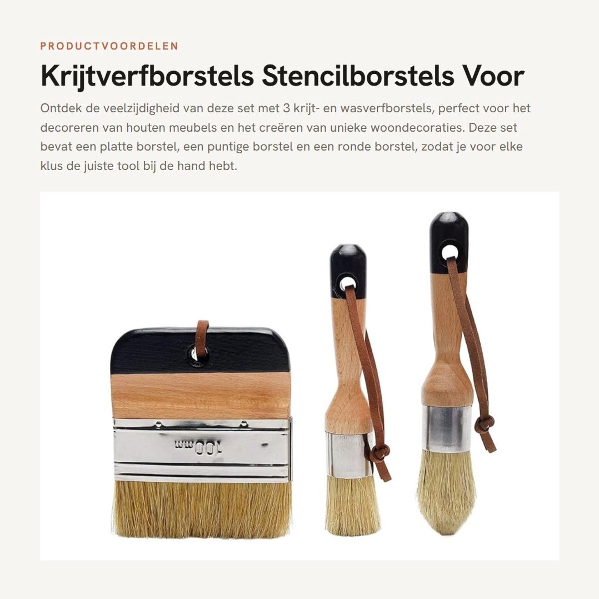 Dailygoods- Krijtverfborstels Set van 3 - Platte/Puntige/Ronde Borstel - Stencilborstels - Houten Meubels - Woondecoratie - Duurzaam Materiaal - Verfkwasten