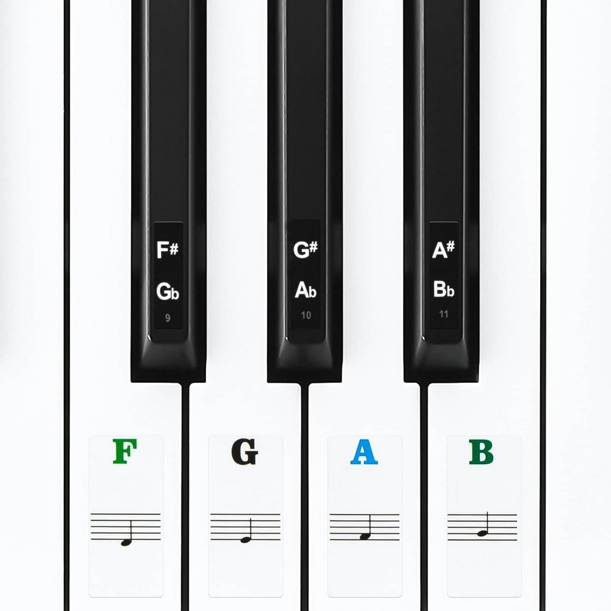 Piano Notenstickers - Toetsenbord Stickers - Muziek Leren - Kleurgecodeerd Ontwerp - 88 Toetsen - Transparant