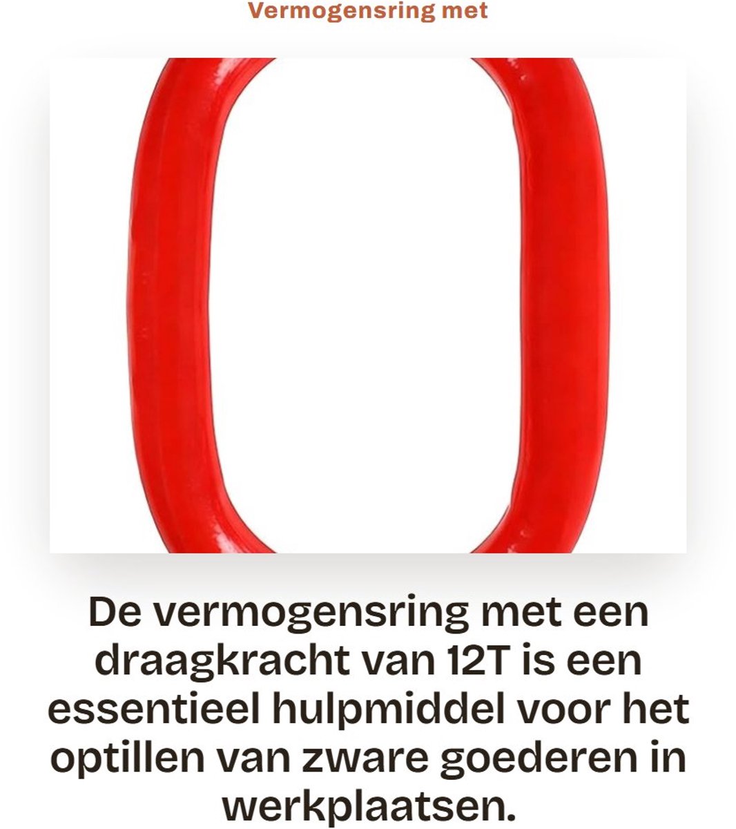 Dailygoods- Vermogensring 12T - Draagkracht 6,4T - Hefmechanisme - Werkplaats - Gewicht 1470g - Veiligheidsinstructies - Hefring