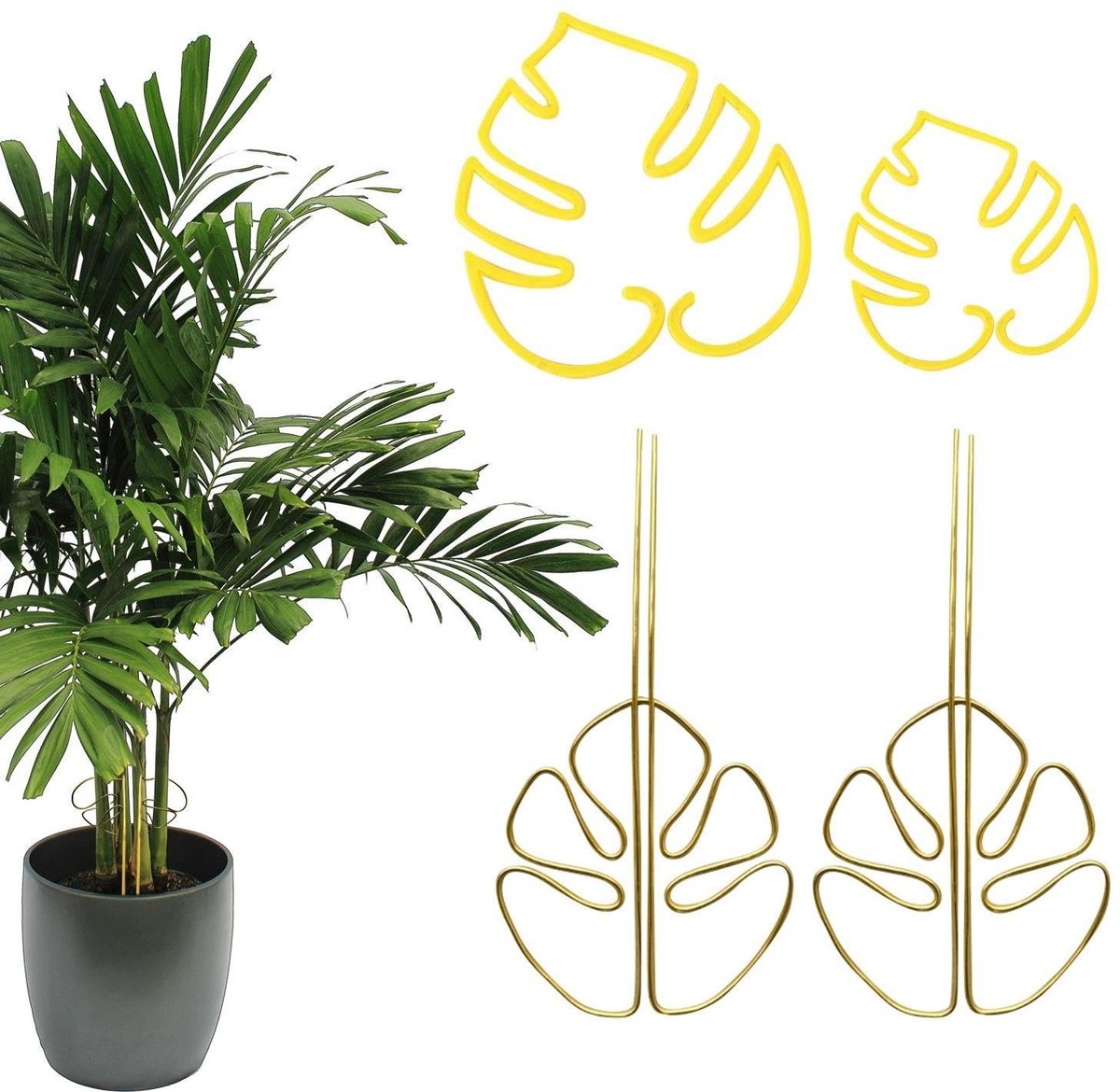 Dailygoods- Plantenhouder Gouden Legering - Plantensteun - Kunststof Plank - Groeihulp - 2 Stuks - Verstelbare Afmetingen
