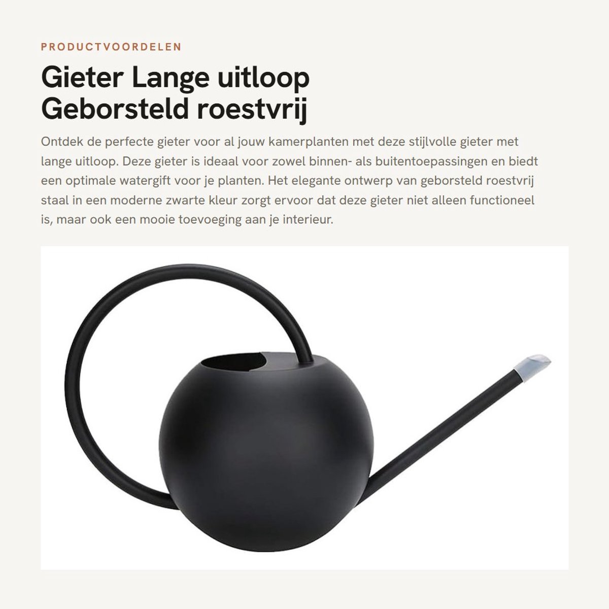 Dailygoods- Gieter 1L Lange Uitloop - Roestvrij Staal - Gieter voor Binnen/Buiten - Zwarte Gieter - 31x18x14cm - 550g Lichtgewicht - Plantenbewateringscan
