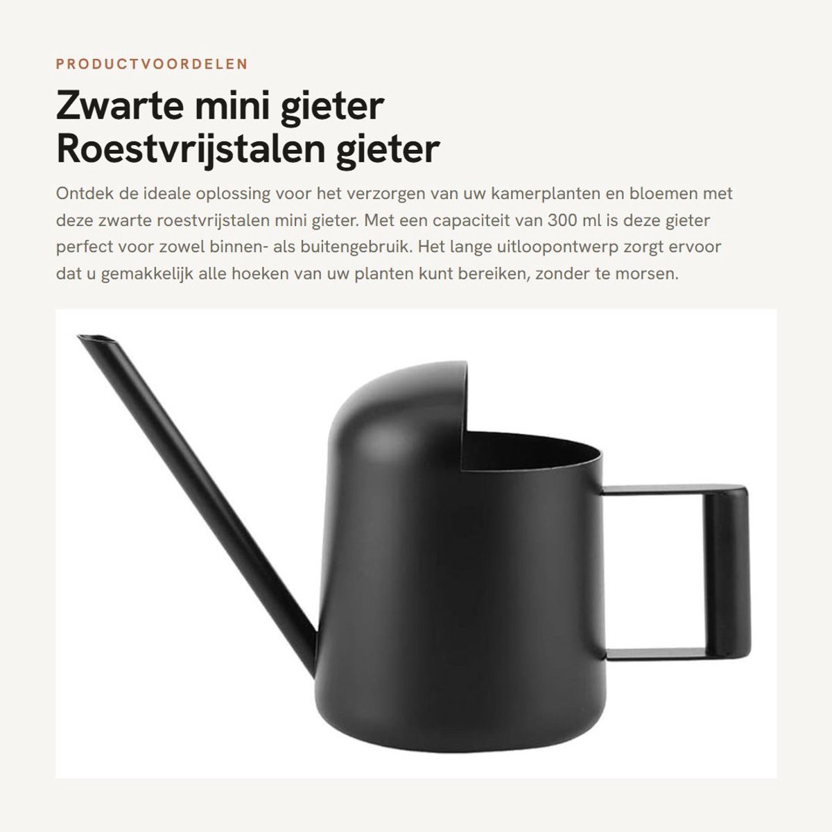 Dailygoods- Gieter 300 ml - Roestvrijstalen Mini Gieter - Geschikt voor Binnen/Buiten - Voor Kamerplanten/Tuinplanten - Duurzaam en Stevig - Glad Oppervlak - Plantenbewateringssysteem