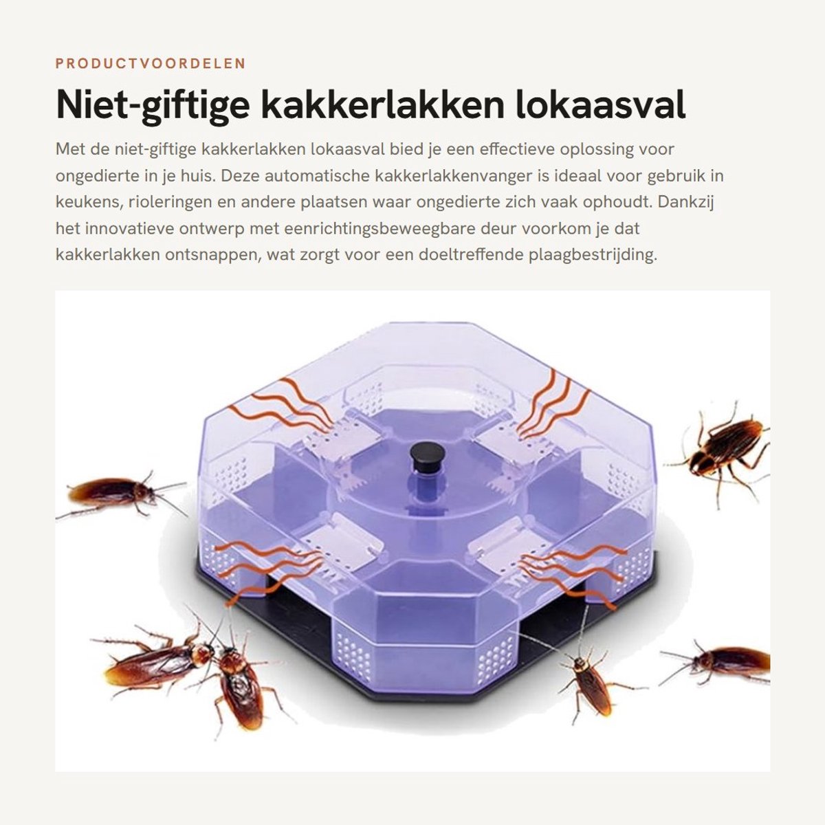 Dailygoods- Kakkerlakkenval Automatische Insectenvanger - Niet Giftig - Duurzaam - Herbruikbaar - Plaagbestrijding - 14 x 14 x 4,5 cm - Insectenval