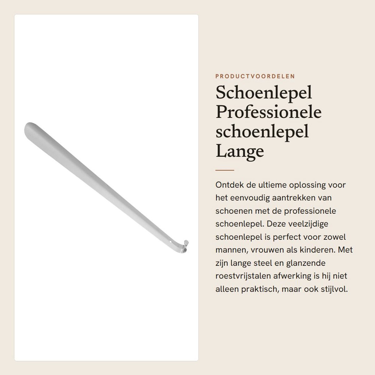 Dailygoods- Schoenlepel Professionele Roestvrij Staal - Dubbelzijdige Schoenlepel - Lange Steel - Antislip - Voor Mannen/Vrouwen - 41 x 4 cm - Schoenhulp
