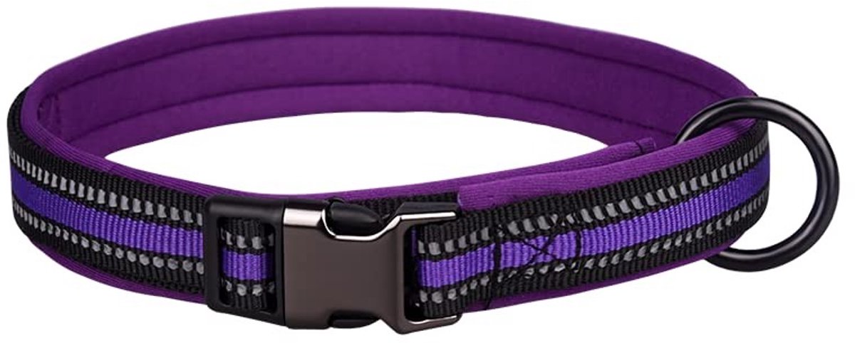 Dailygoods- Halsband Reflecterend - Verstelbaar - Neopreen Gevoerd - Roestvrij Staal - Voor Kleine/Middelgrote/Grote Honden - XS (Hals 25-32cm) - Hondenhalsband