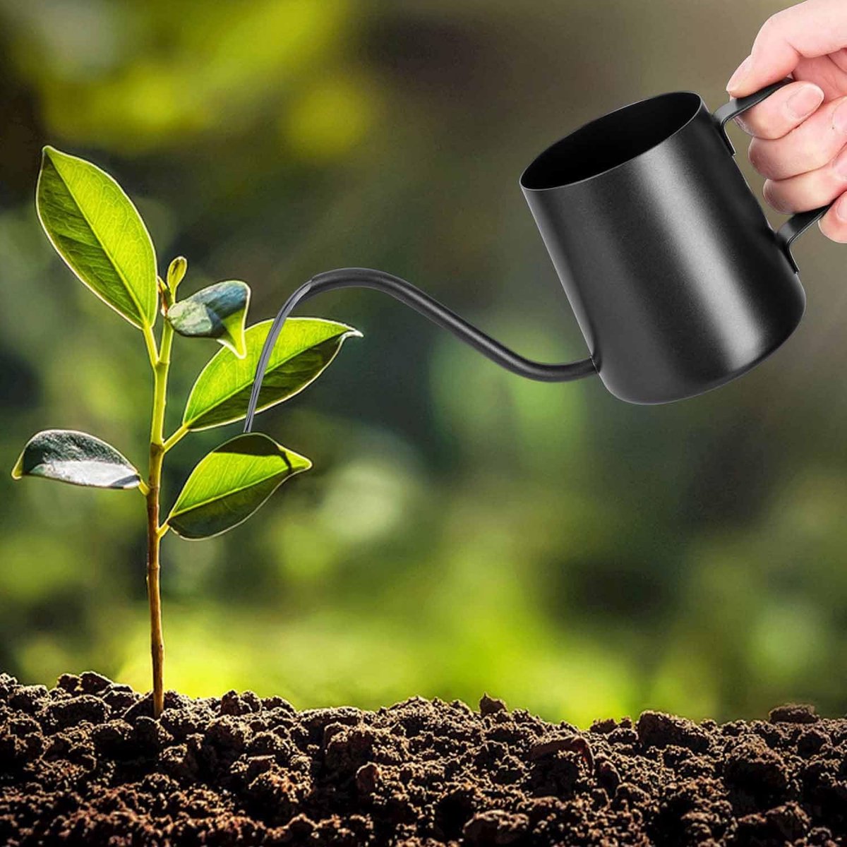 Dailygoods- Gieter 350 ml - Mini-gieter - Roestvrij staal - Zwanenhals - Ergonomische handgreep - Perfect voor kamerplanten - Plantenbewateringssysteem