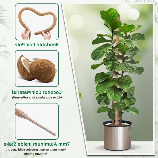 Vouwbare kokosvezel plantsteun voor klimop, monstera en andere kamerplanten - 120 cm hoog — afbeelding 5