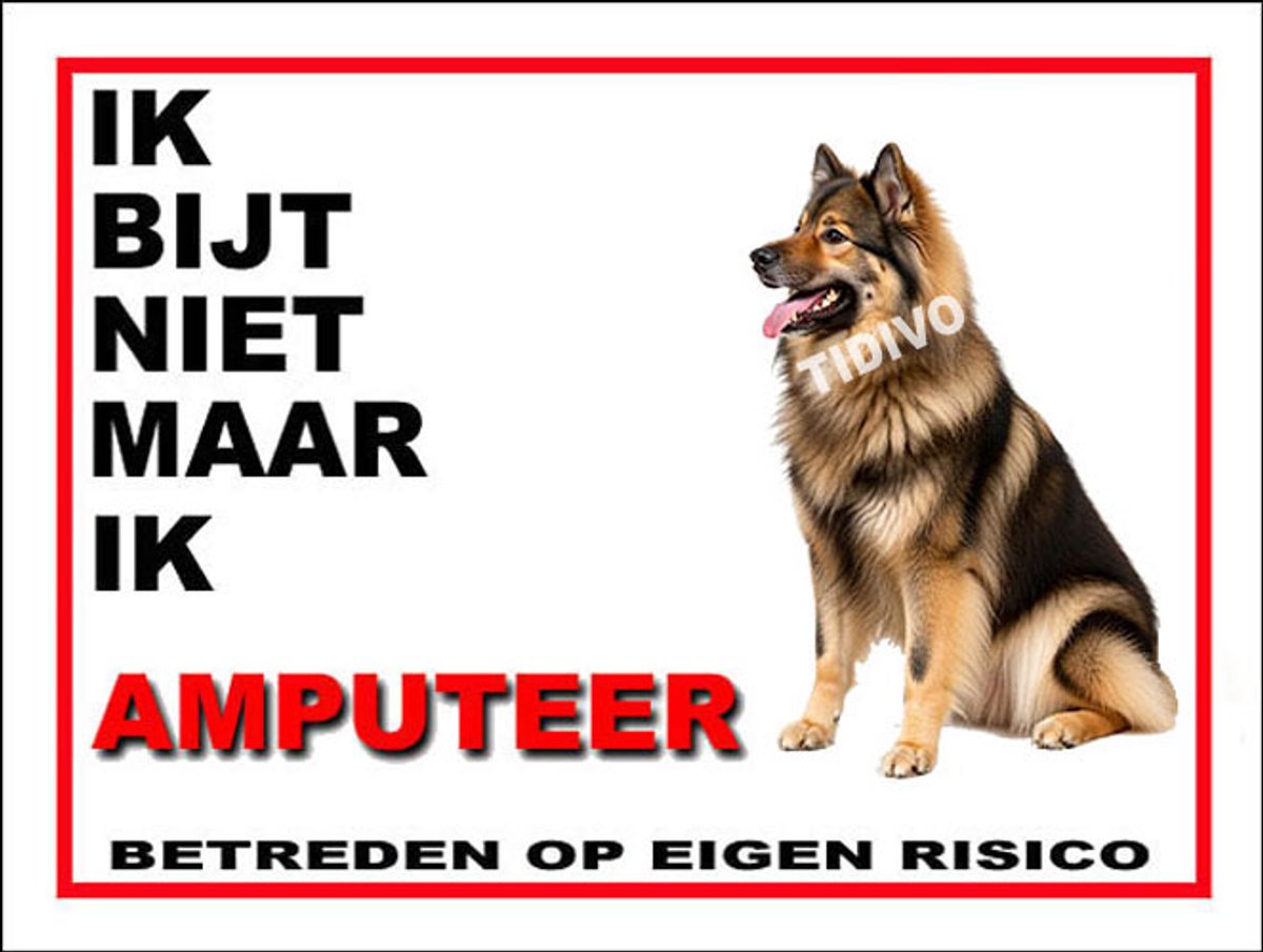Eurasier 5