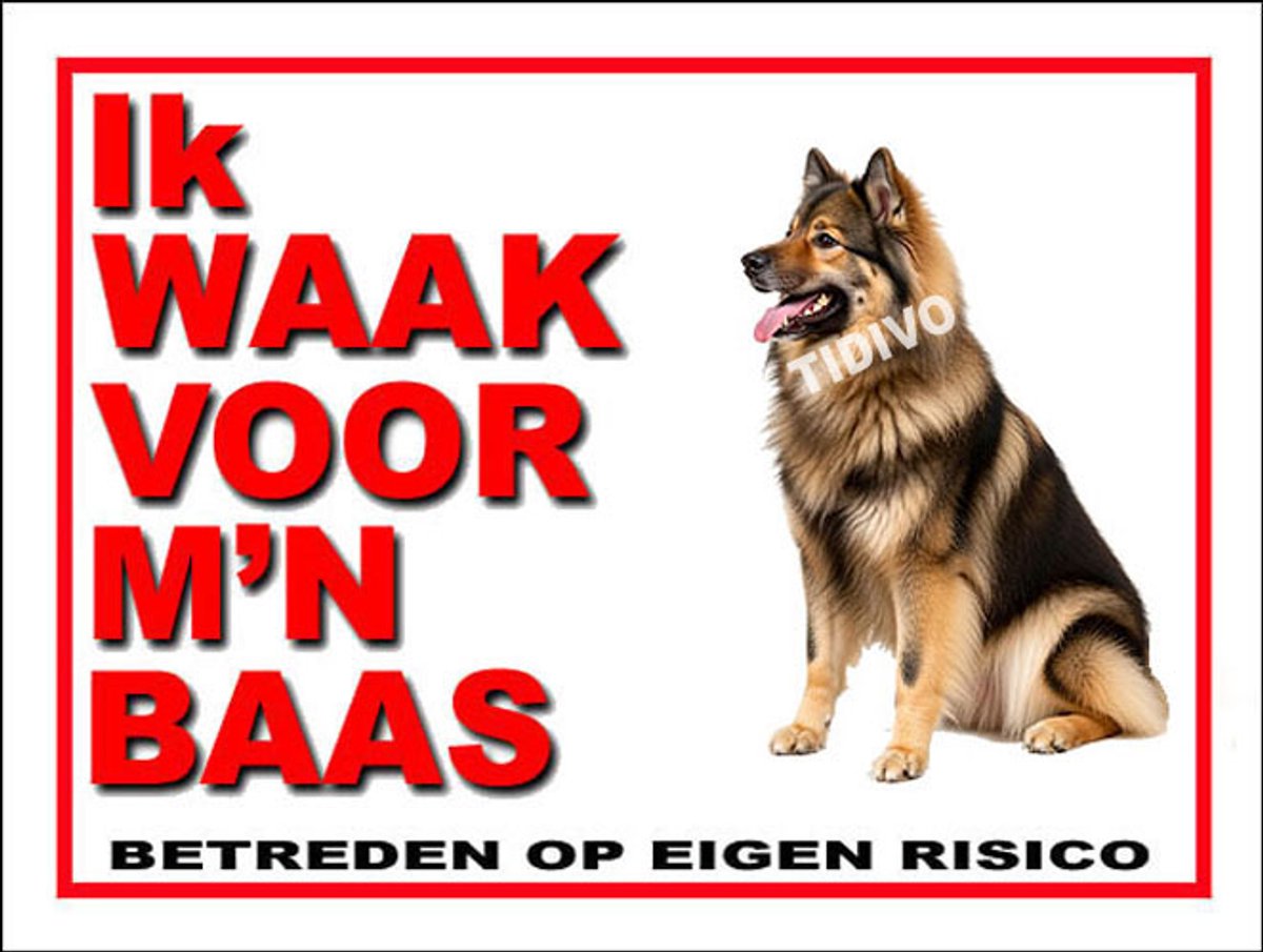 Eurasier 9