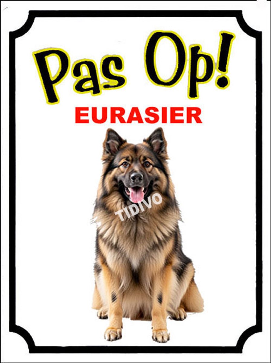 Eurasier 16