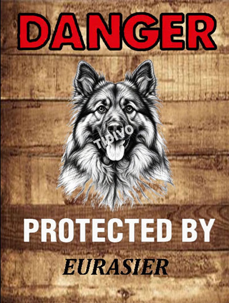 Eurasier 19