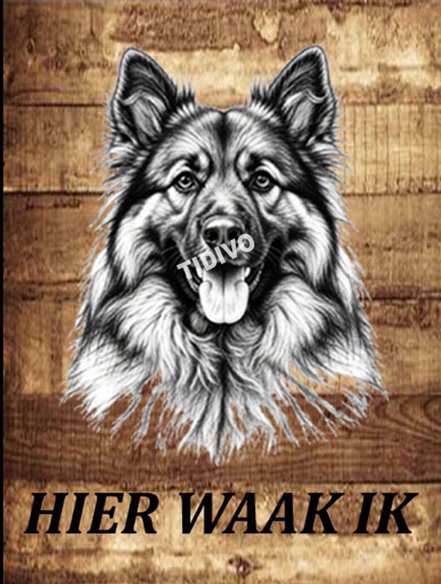Eurasier 20