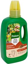 Pokon Mediterrane Planten Voeding - 500ml - Voor Citrus en Mediterrane planten