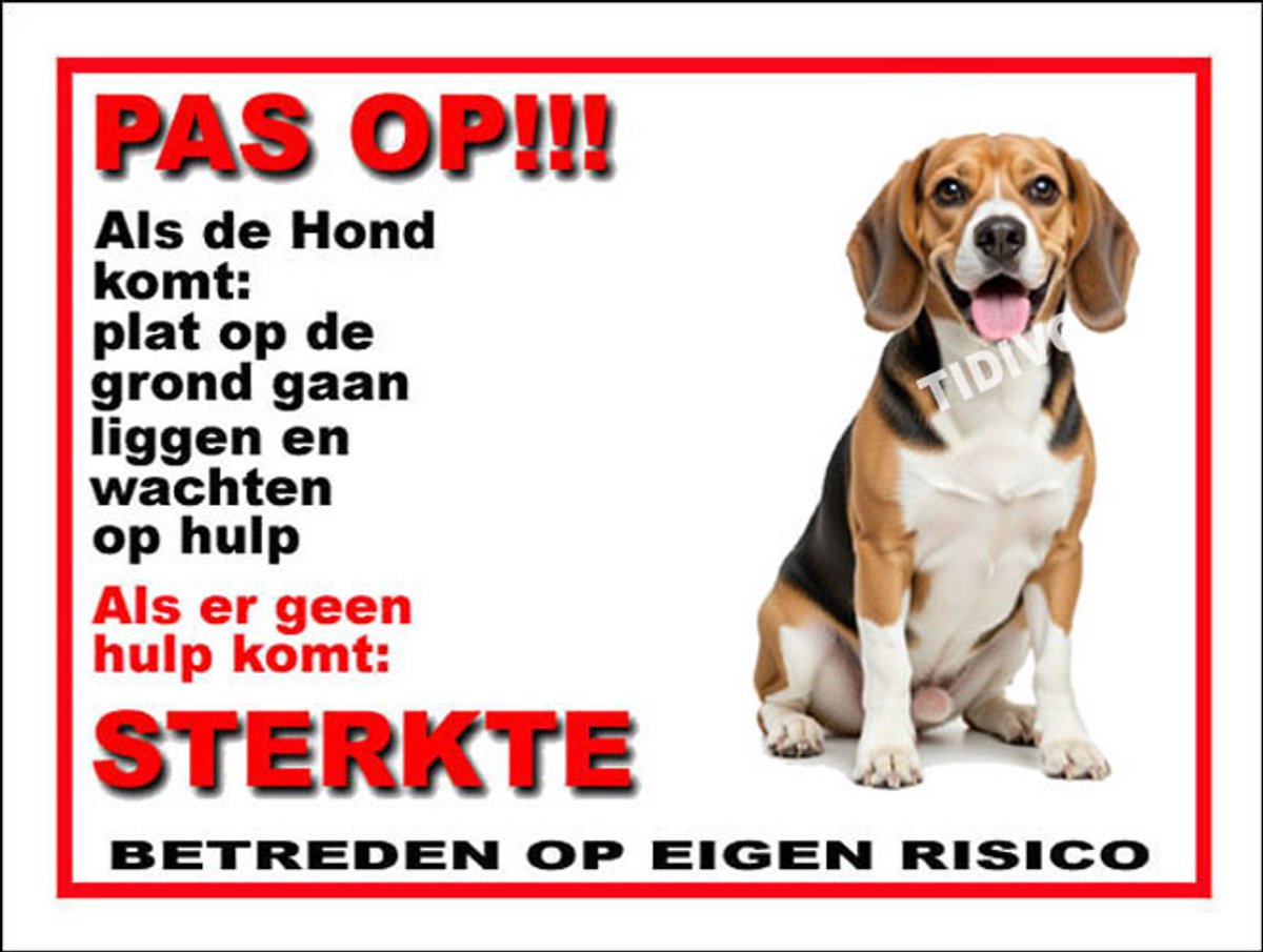 Finse Brak 12