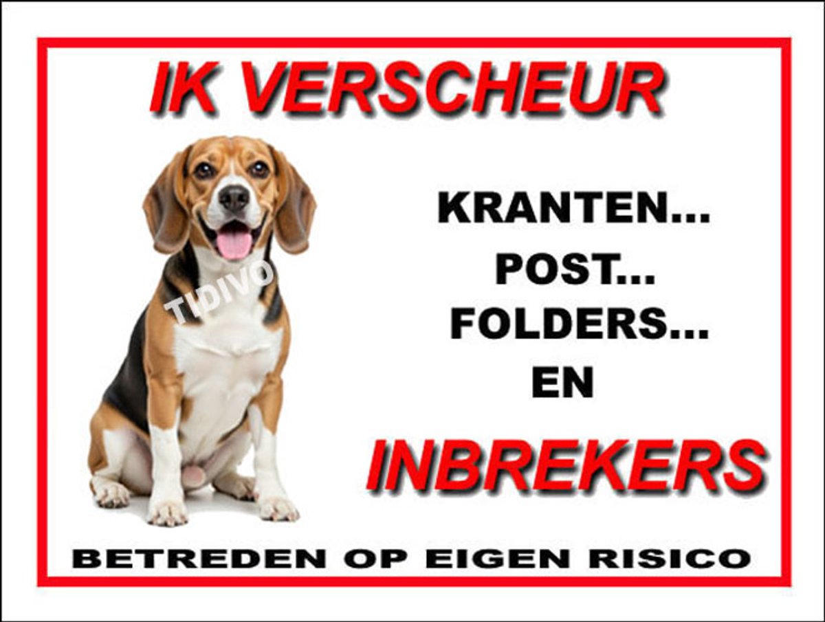 Finse Brak 8