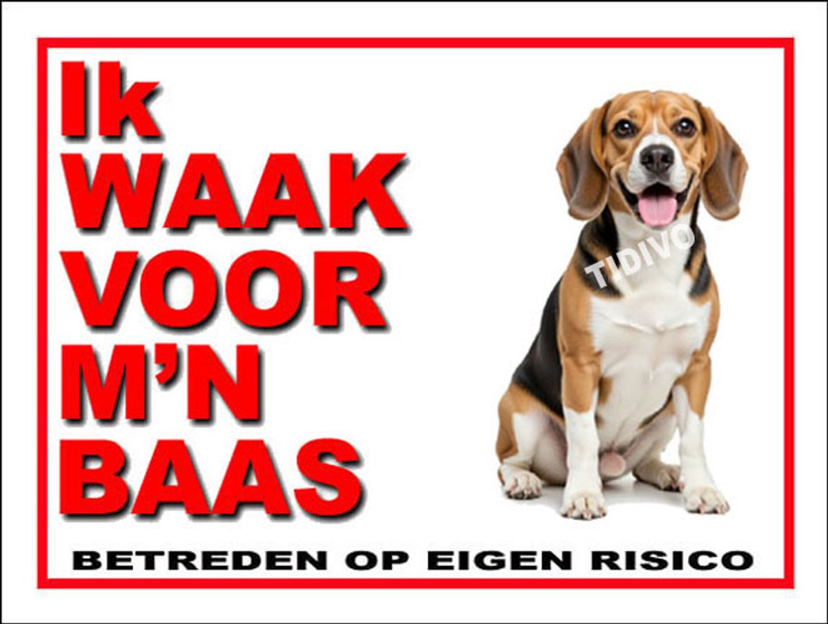 Finse Brak 9