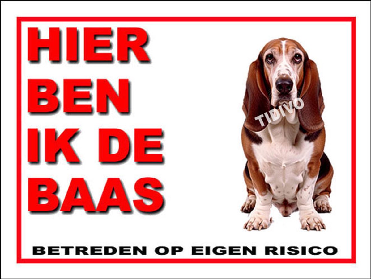 Duitse Brak 2